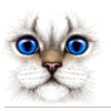 white cat with blue eyes PSD FILE