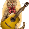 cut with guitar PSD FILE
