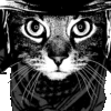 Biker Cat Black PSD FILE