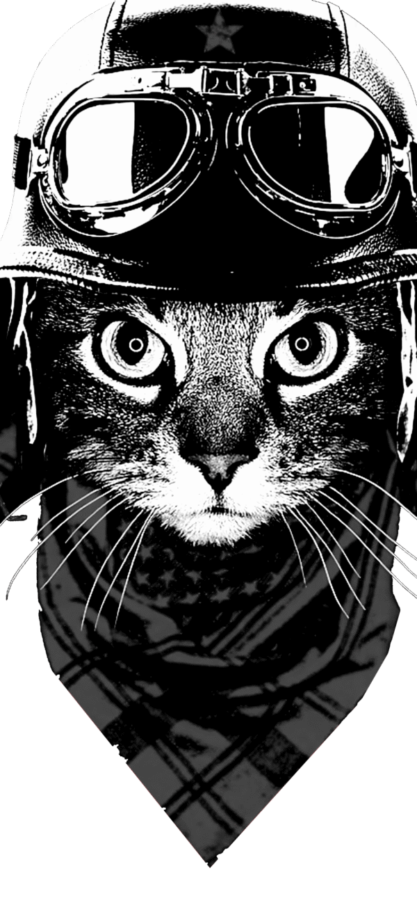 Biker Cat Black PSD FILE
